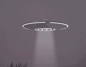 @你家的猫咪：你相信光吗？