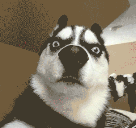 差一点，我就有了“铁饭碗”...