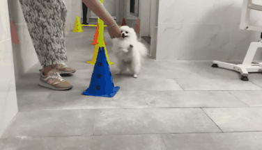 这难道不比东京奥运会开幕燃？