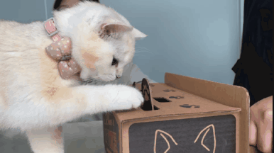 这难道不比东京奥运会开幕燃？