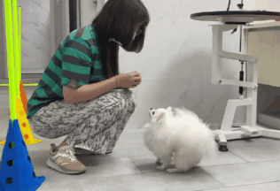 这难道不比东京奥运会开幕燃？