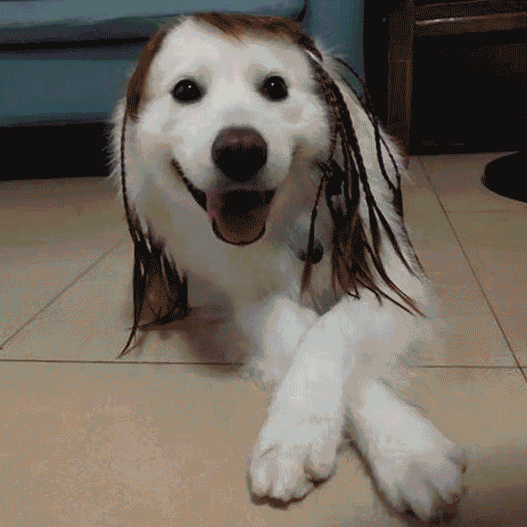 公明选美，获奖背后的努力.....