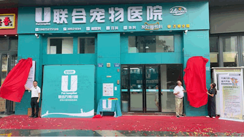 新店开业 | 万博分院开业仪式盛大启幕！