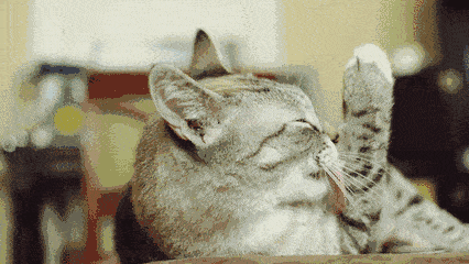 我家的主子有“恐水症”！