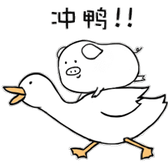 主子们，这样的服务你满意吗？