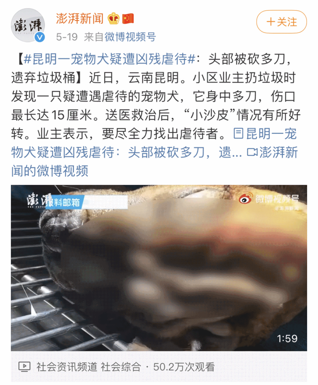 你可以不爱，但请别伤害