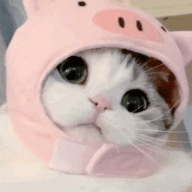 小本创业项目无需店面_无要店面的创业项目_投资热门的无本的创业开店项目