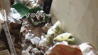 5年不扔垃圾、和80只蜘蛛同住的公寓！日本家政公司這樣清掃，過程極度舒適！ 家居 第15張