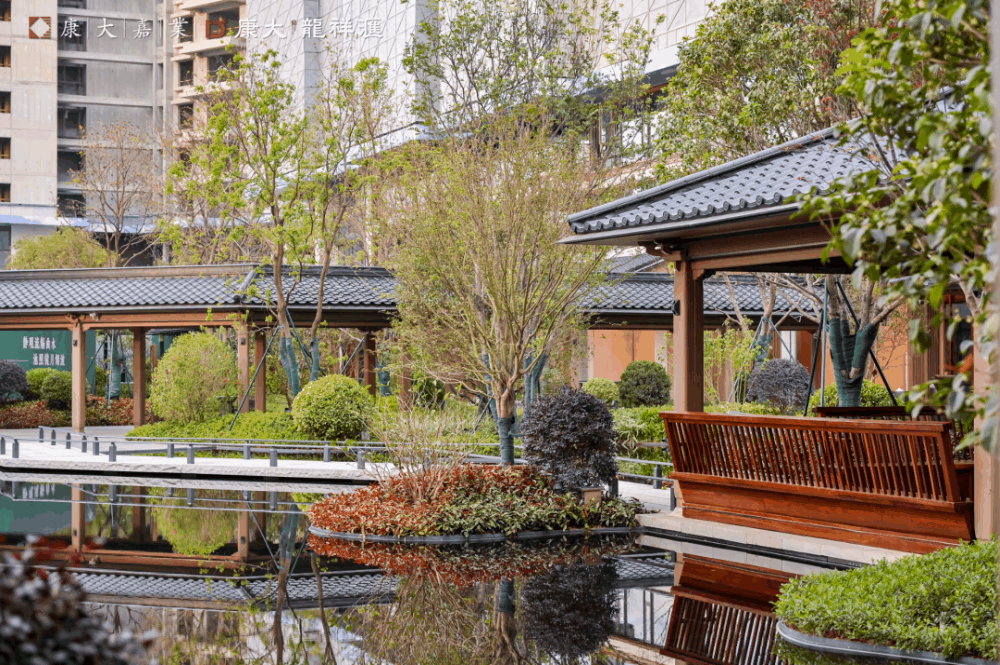 知识城康大龙祥汇推出全新二期新品，值得买！