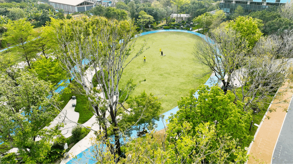 万科黄埔新城楼盘测评，项目周边配套怎么样？