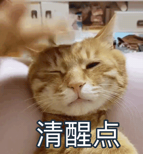 米粉嘉宝和小皮哪个好_嘉宝米粉_米粉嘉宝的好还是英式的好