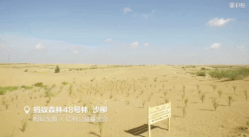 中国用40年时间，干掉一片沙漠，连NASA和联合国都被惊动！网友：不枉我每天凌晨偷能量！