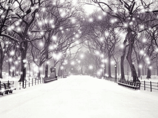 又下雪了 透過飛舞的雪花看看這些人在幹什麼 義烏交警在線 微文庫