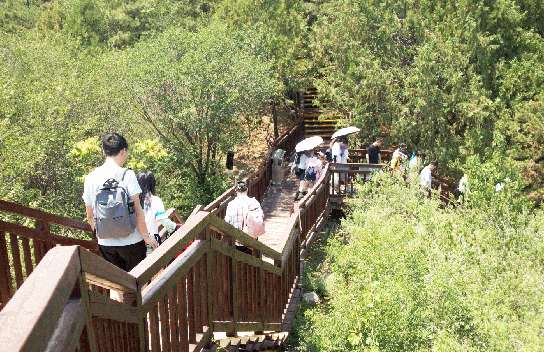 索萊寶贊助北京化工大學(xué)生命學(xué)院劉惠玉教授課題組團(tuán)建活動