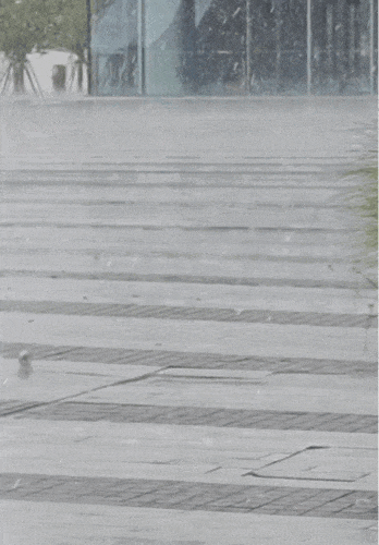 Shanghai Weather ： 4 Warnings Issued, Hail & Storms Until Midnight