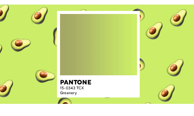 cachecache童装穿搭界显白王霸屏ins的牛油果绿来了