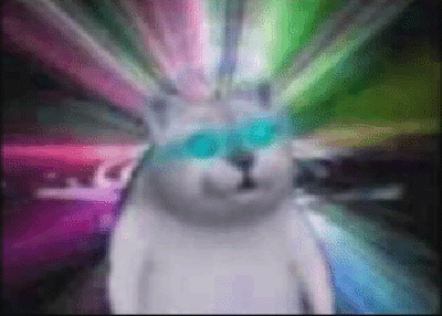 奇怪的知识增加了 这只突然占据全网表情包的沙雕猫到底是只什么猫 萌宠 训练养宠技巧 宠物用品 微信头条新闻公众号文章收集网