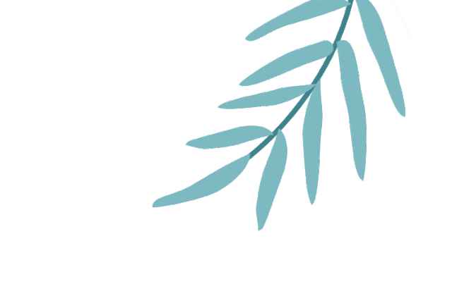 vsd引流器怎么连接田医生的外科笔记 ｜ 伤口愈合的“黑科技”：一文读懂负压封闭引流（VSD）_https://www.jmylbn.com_新闻资讯_第4张