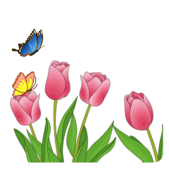 天凉了 秋意浓 一首 情比秋意浓 太美了 送给最牵挂的朋友 笑傲情歌台 微信公众号文章阅读 Wemp