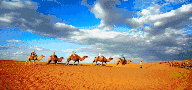 【乐龄e站】甘肃,一带一路黄金带 - 甘肃陇源丹谷油橄榄开发有限公司