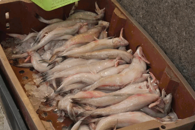 639_426gif 动态图 动图