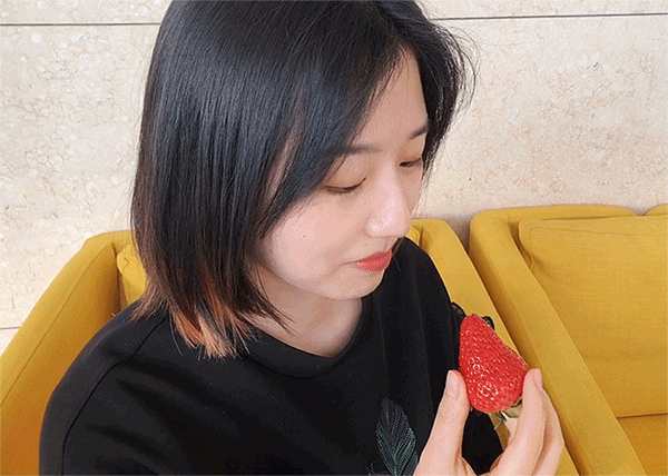 香甜浓郁的丹东99一出场,在座的草莓都黯淡了!-微信头条网 香甜浓郁的丹东99一出场,在座的草莓都黯淡了!