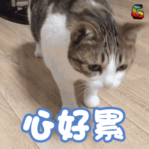 中文的连接词有什么_中文连词的用法_连接词中文