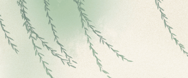 清明 | 等一盏雨季燕窝，滋润一整年！