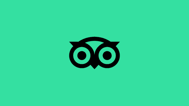 Trends | “猫途鹰”新 Logo，动效赋能品牌内涵，拒绝“死气沉沉”