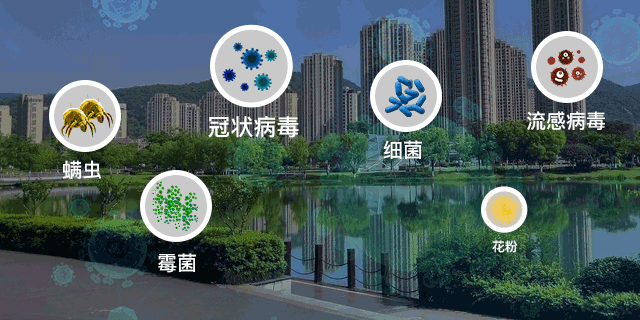洗1次=曝晒8小时!99%杀菌除螨率的植物艾草洗衣液,杜绝过敏源,呵护家人健康