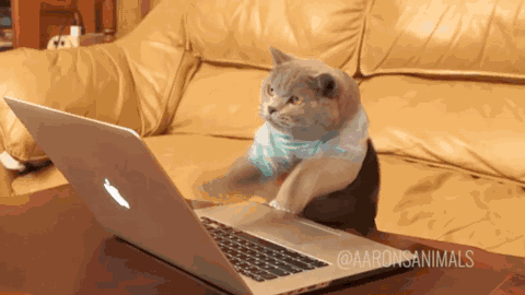 480_270gif 动态图 动图