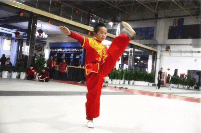籃球館運動(dòng)木地板多少錢(qián)_健康貓運動(dòng)生活館56號館_健康貓運動(dòng)生活館29號館怎么樣