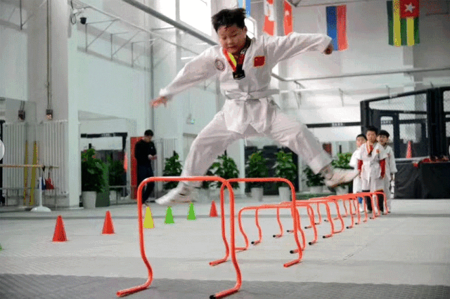 籃球館運動(dòng)木地板多少錢(qián)_健康貓運動(dòng)生活館29號館怎么樣_健康貓運動(dòng)生活館56號館