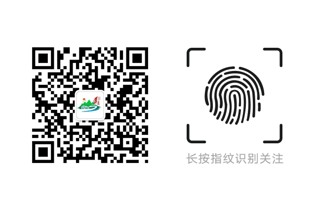全市政务网站运行管理整改工作会召开