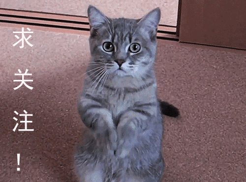 如何报考AEIS考试,AEIS英语,AEIS培训基地