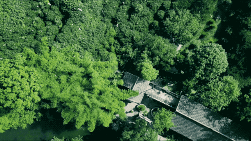 要到加拿大生宝宝_加拿大生孩子有什么**_加拿大宝宝生到要几个月