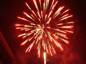 293_220gif 动态图 动图