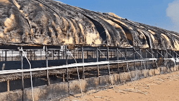 疑似电线着火引燃养殖大棚,百余只大鹅葬身火海 (2) (1).gif