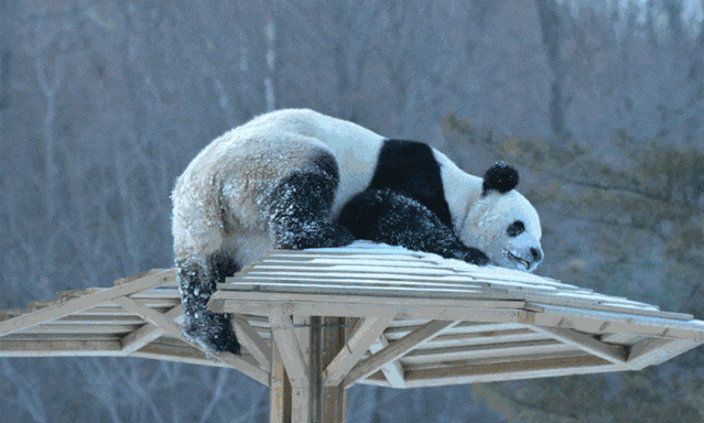 直飞仅¥300+！好玩不输长白山！冬天的它颜值爆表