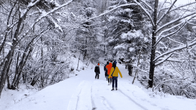 直飞仅¥300+！好玩不输长白山！冬天的它颜值爆表