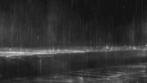 雷暴黄色预警！无锡市区已经狂风暴雨