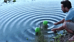 经络的本质：电磁驻波形成的“耗散结构”-人的解读