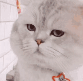 Python二次开发——findAt方法的正确食用方法的图1