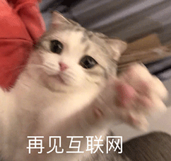 Python二次开发—创建输出数据库并添加数据的图6