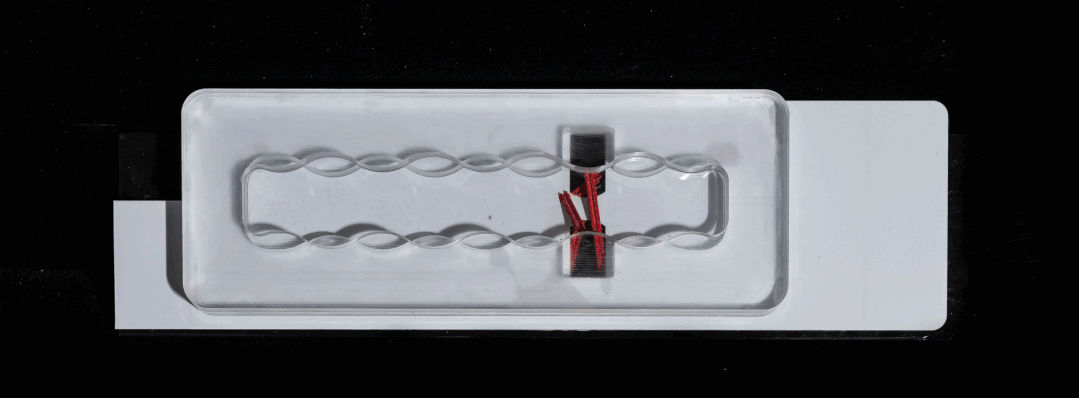 goa作品 | 沪杭高速嘉兴服务区：公路上的综合体