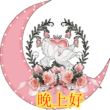 open ai_【晚安好梦!