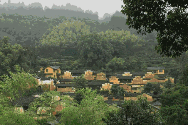 民宿情怀是面子，运营才是里子