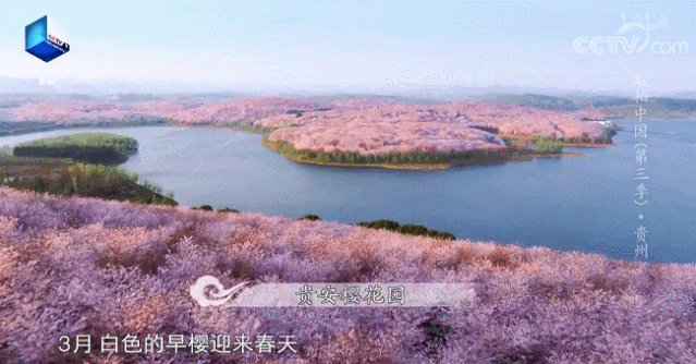 小眾神級紀錄片，航拍中國最美角落，每一幀都是田園畫 旅遊 第42張