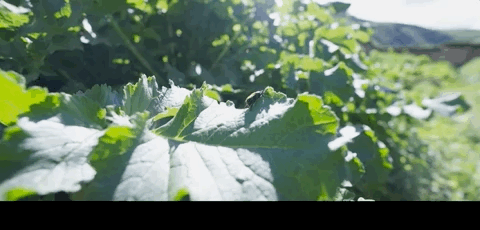 谢霆锋丁真被全网磕疯，我却只看到两个自由的灵魂：未被名利束缚，也无需羡慕飞鸟（组图） - 38