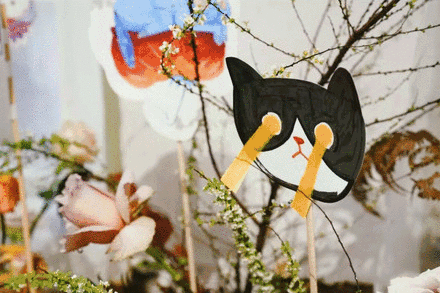 一只貓的旅行：春探花，夏撲蝶，秋戲葉，冬弄雪…… 寵物 第35張